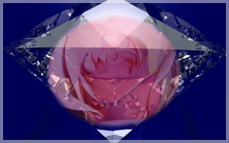 12.gif